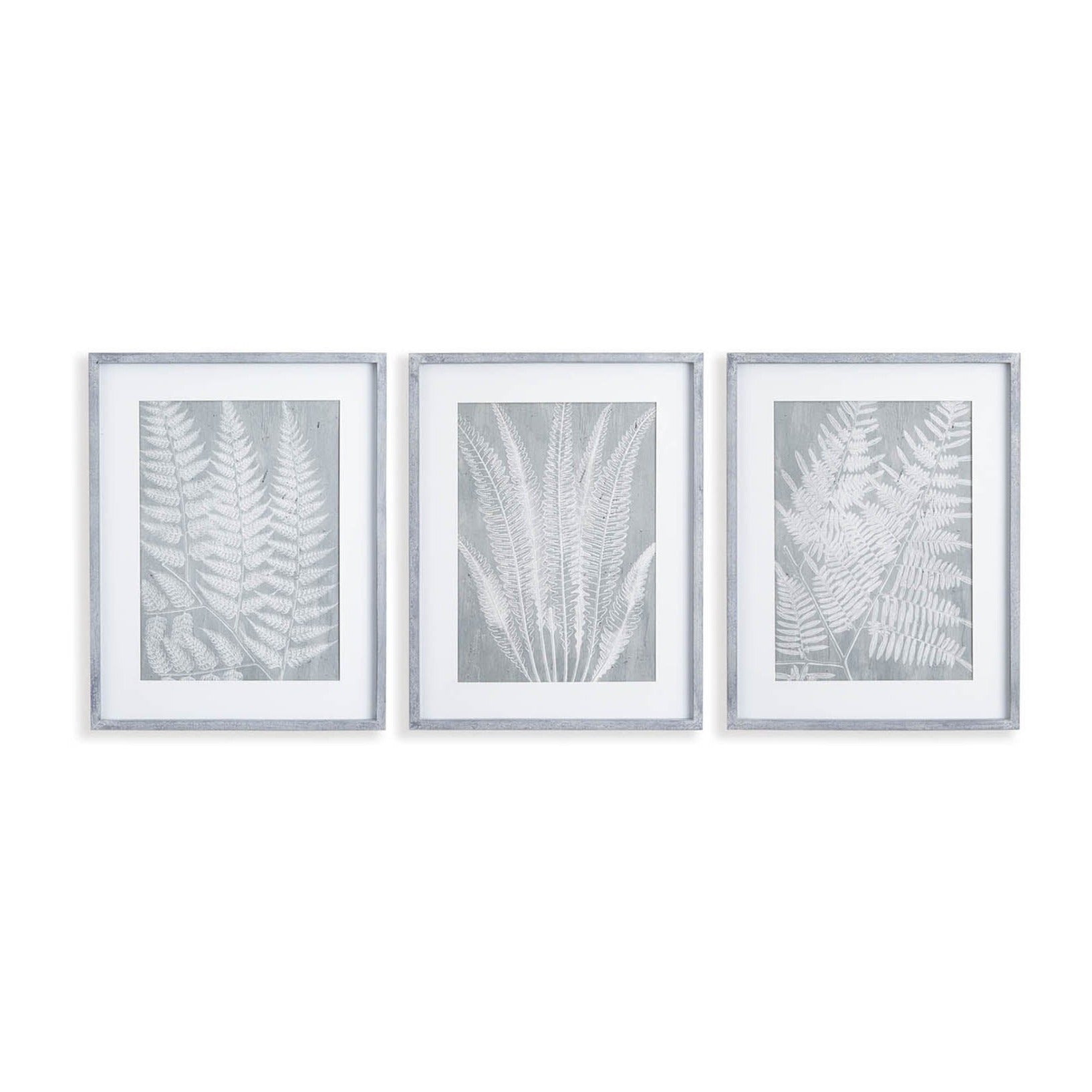 Botanical Fern Prints, Set of 3