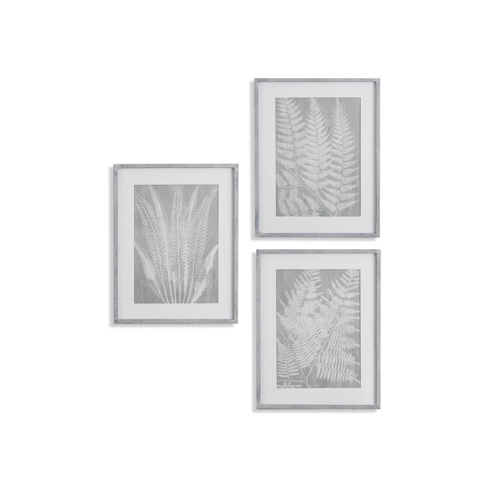 Botanical Fern Prints, Set of 3