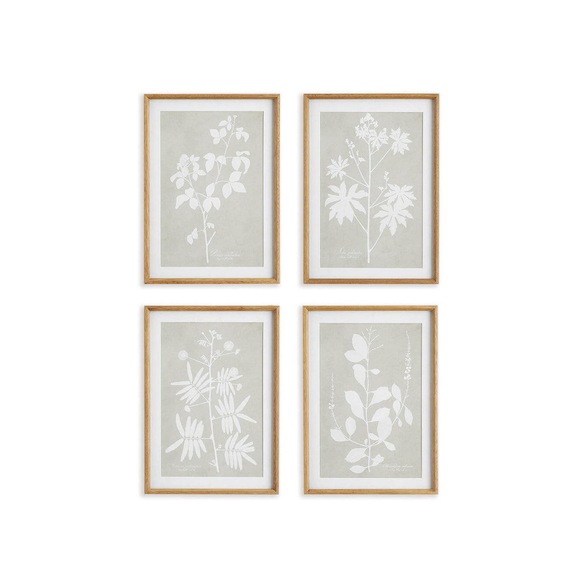 Framed Art Wall Decor | Wisteria