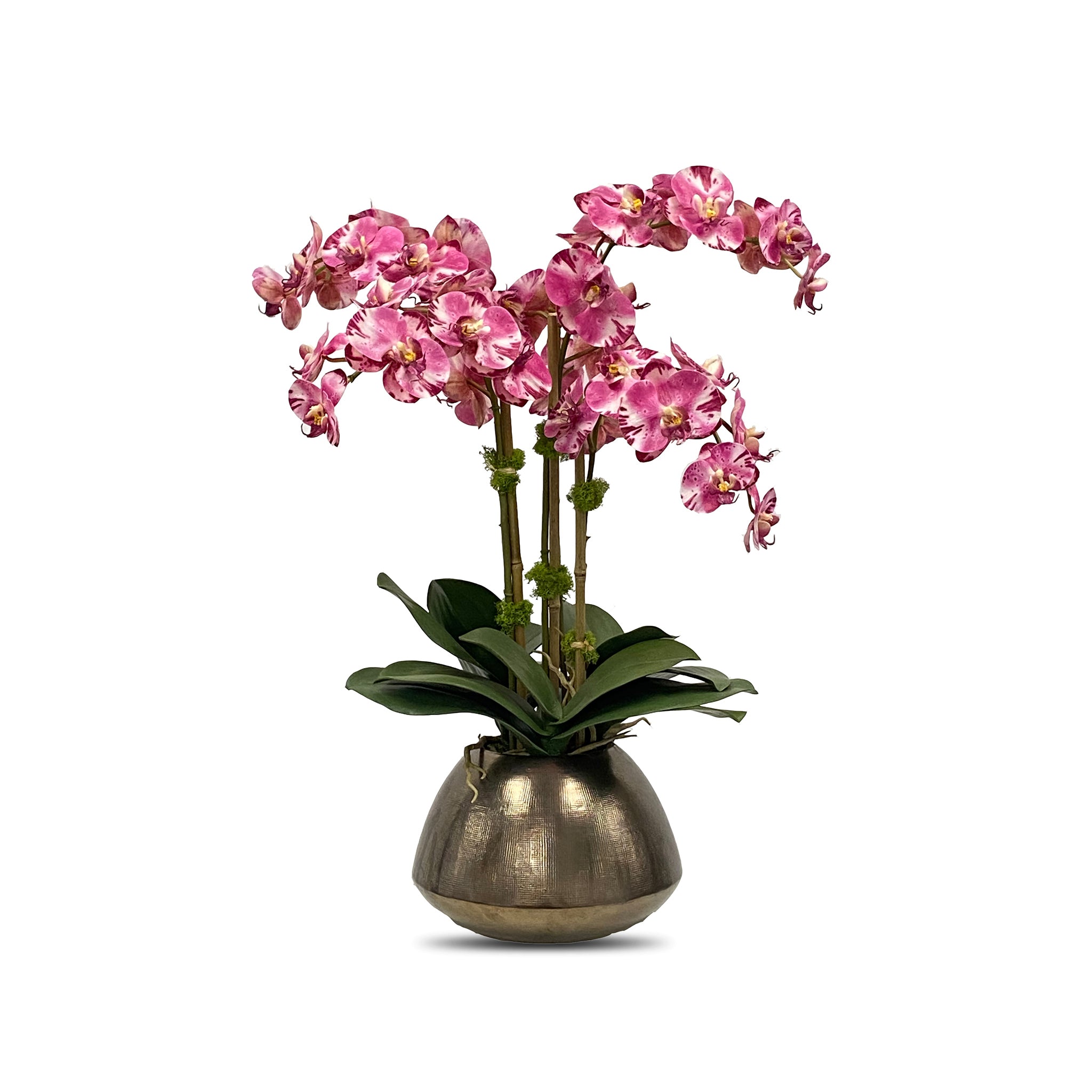 The Singapore Garden Bouquet Wisteria