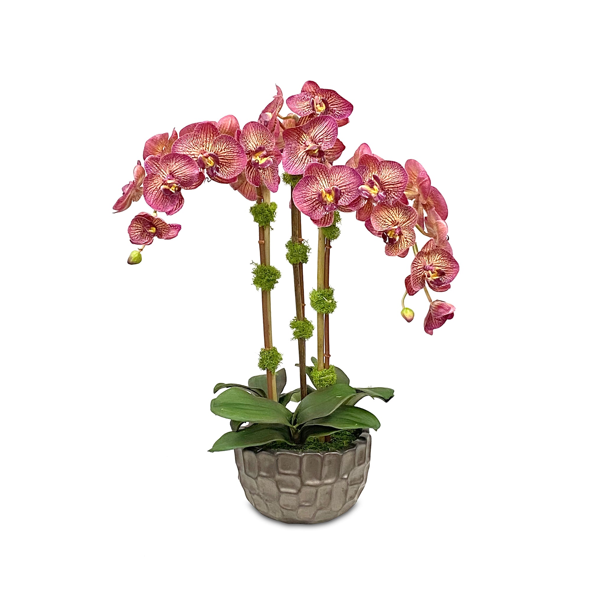 The Longwood Bouquet