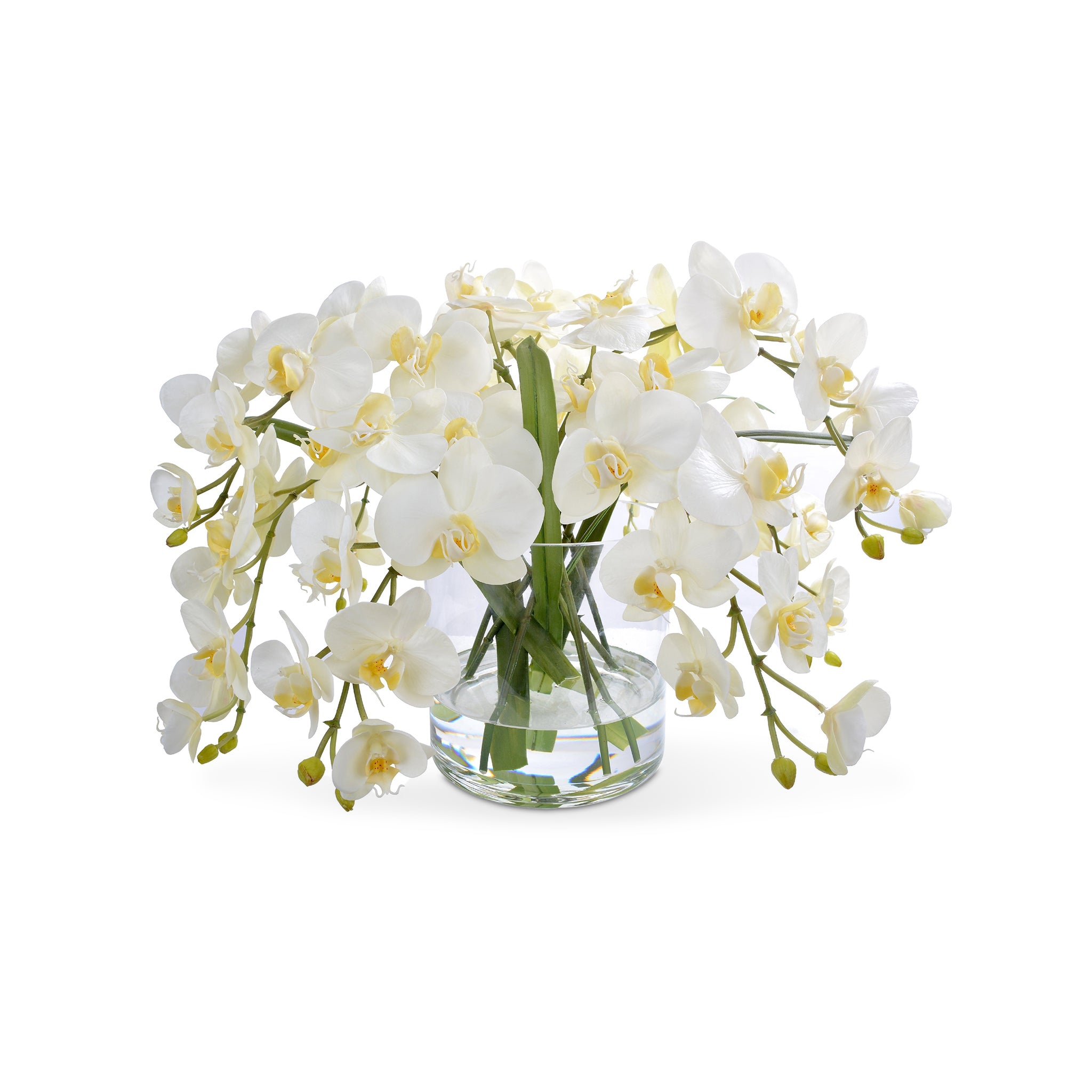 The Highland Garden Collection