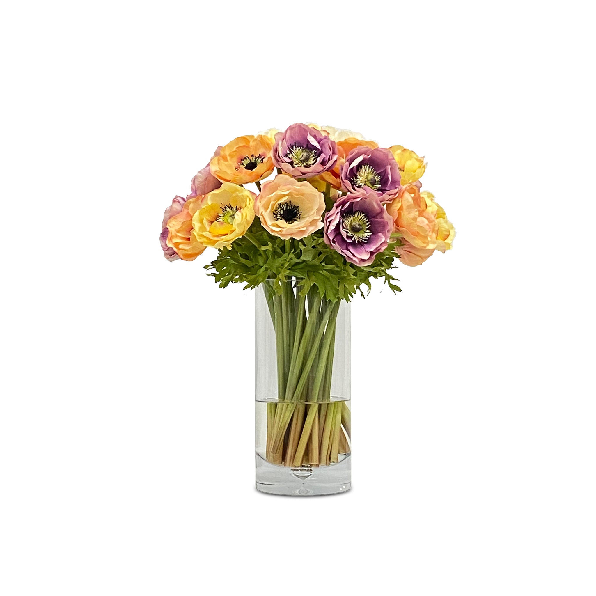 The Kenilworth Park Collection