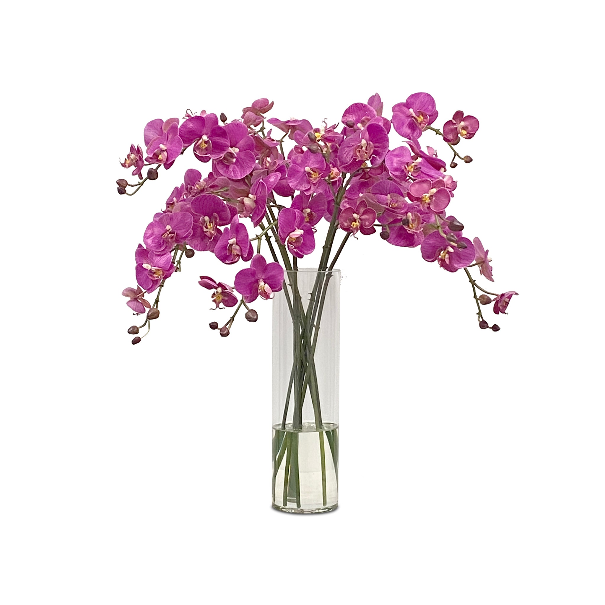 The Naples Park Selection