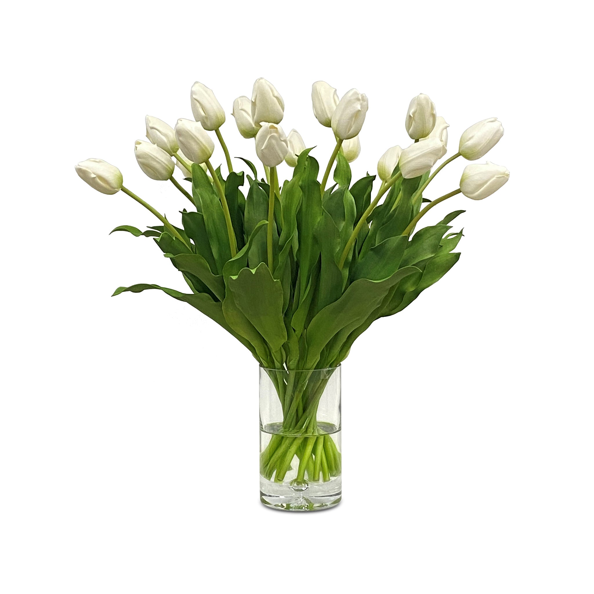 The Bruges Conservatory Collection