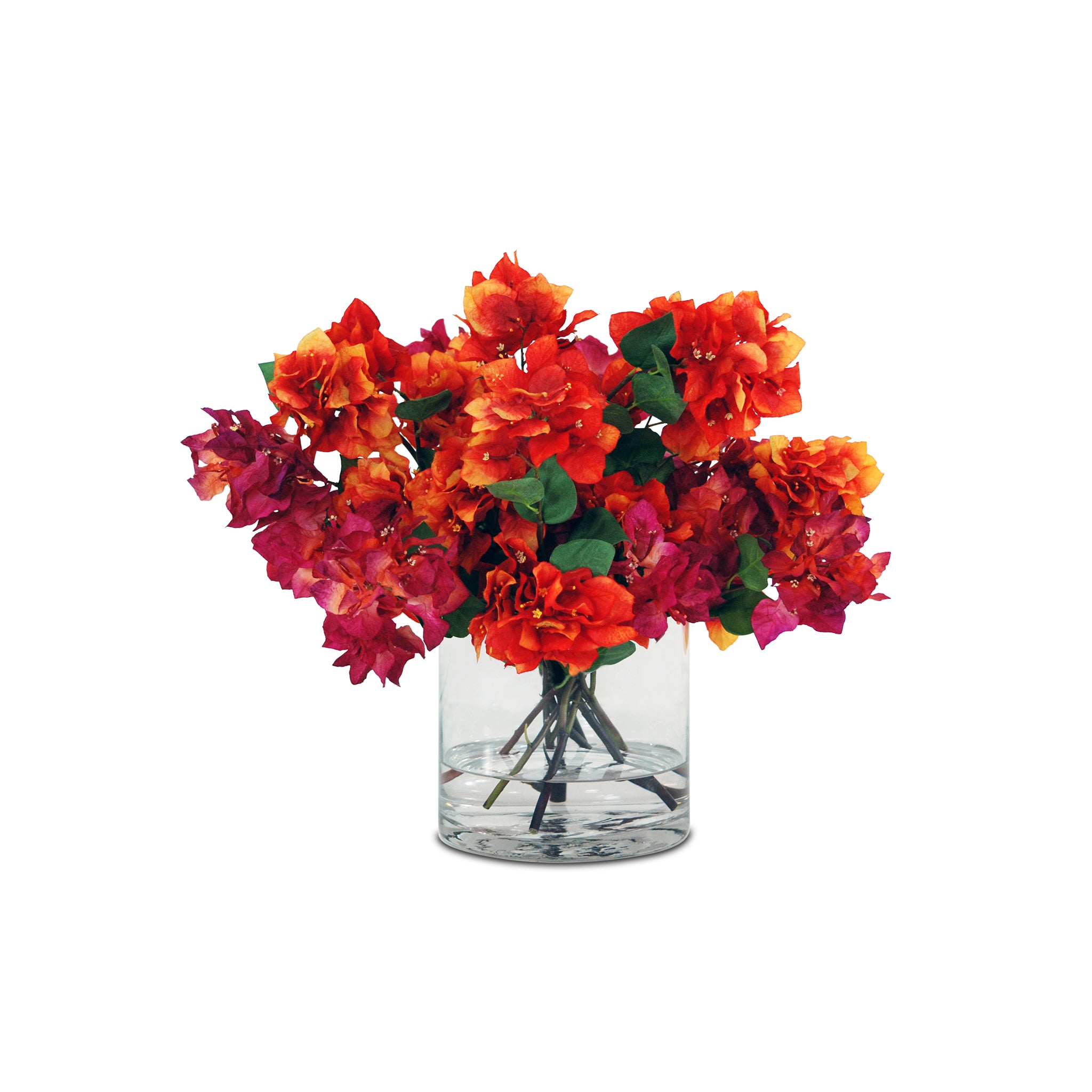 The Monteverde Park Bouquet