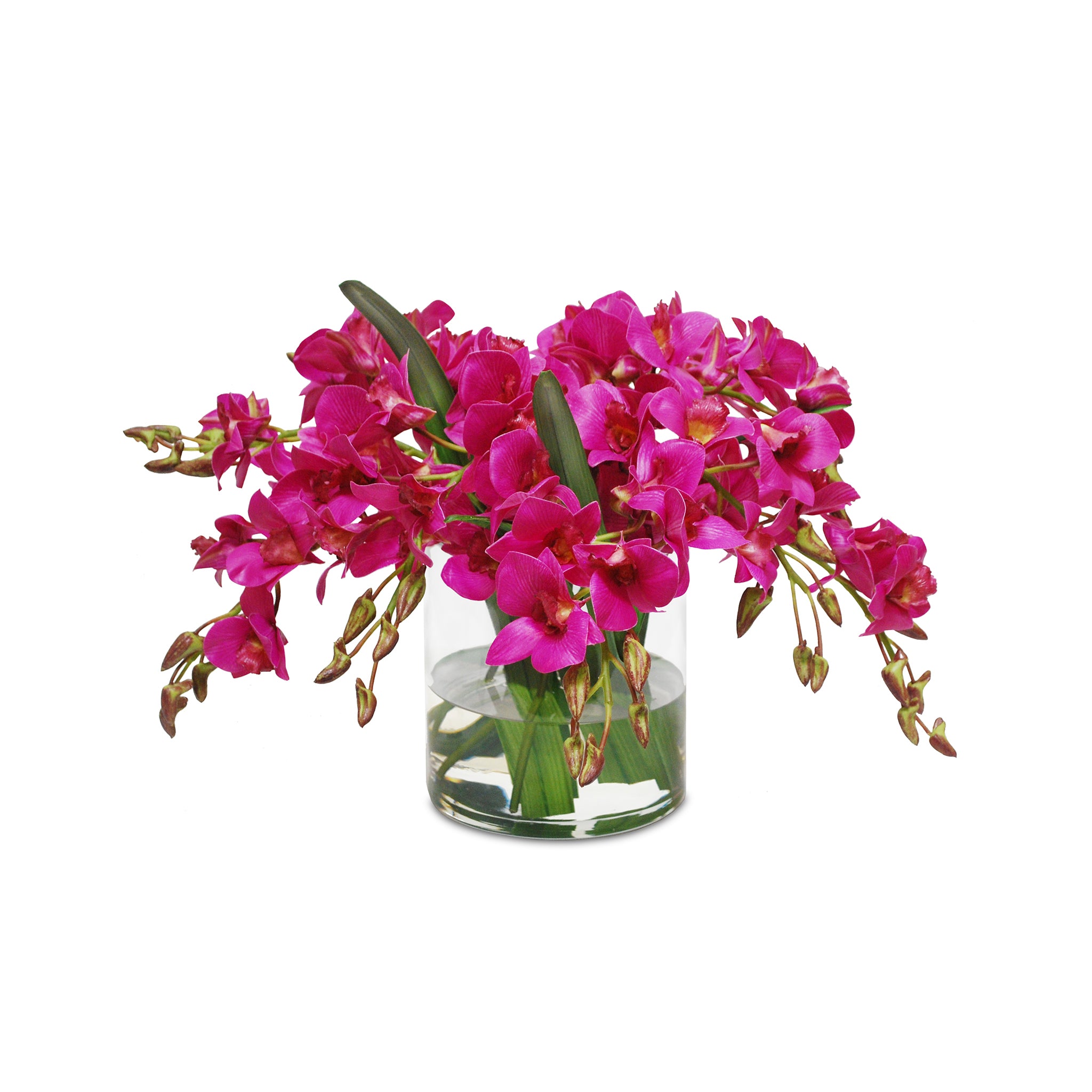 The Hanging Garden Arrangement