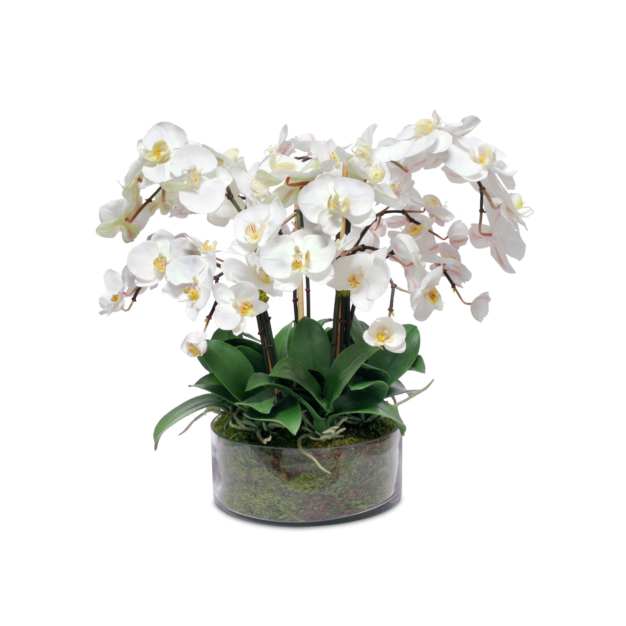 The Nani Mau Garden Collection - Elegant Silk Phalaenopsis Arrangement ...