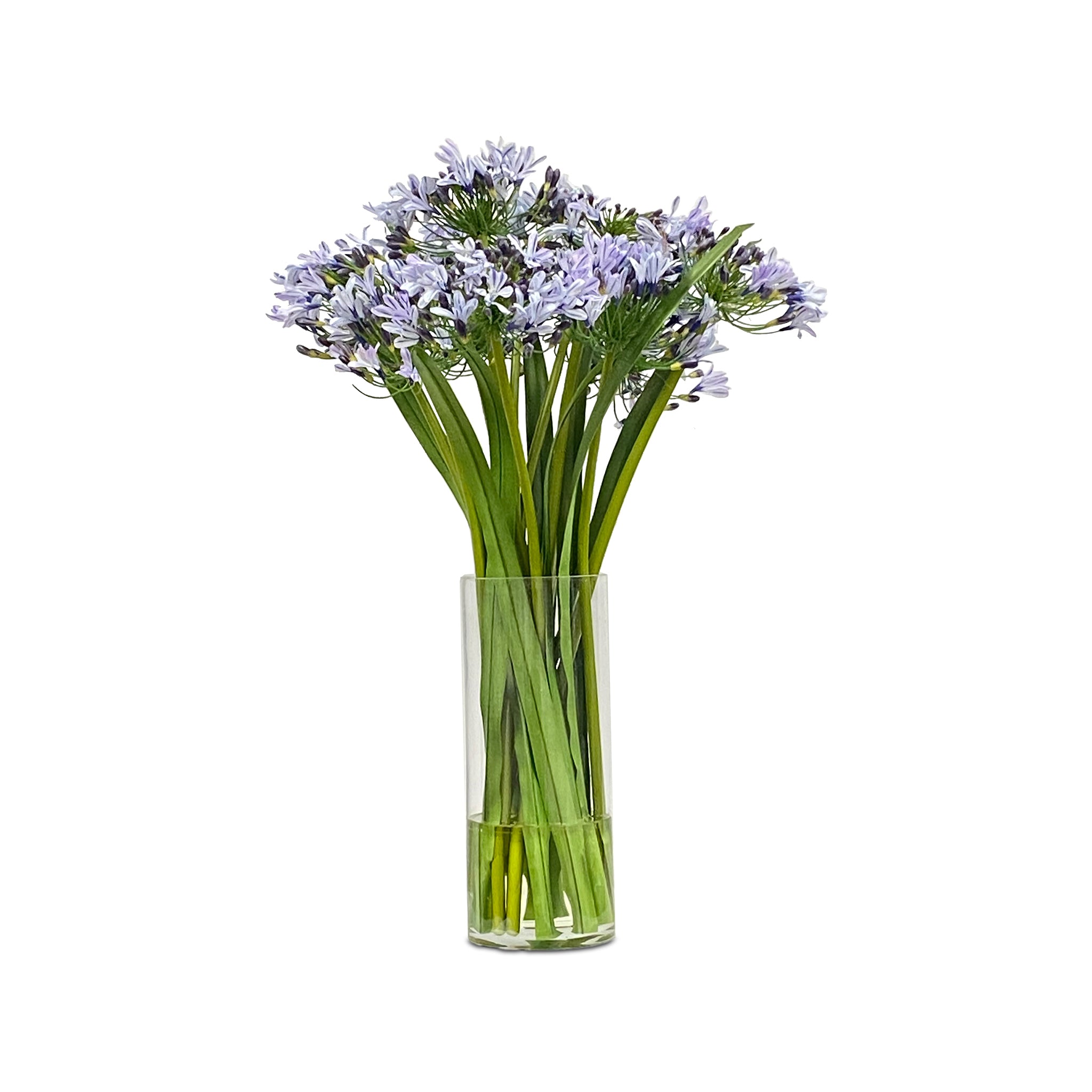 The Cape Town Park Bouquet