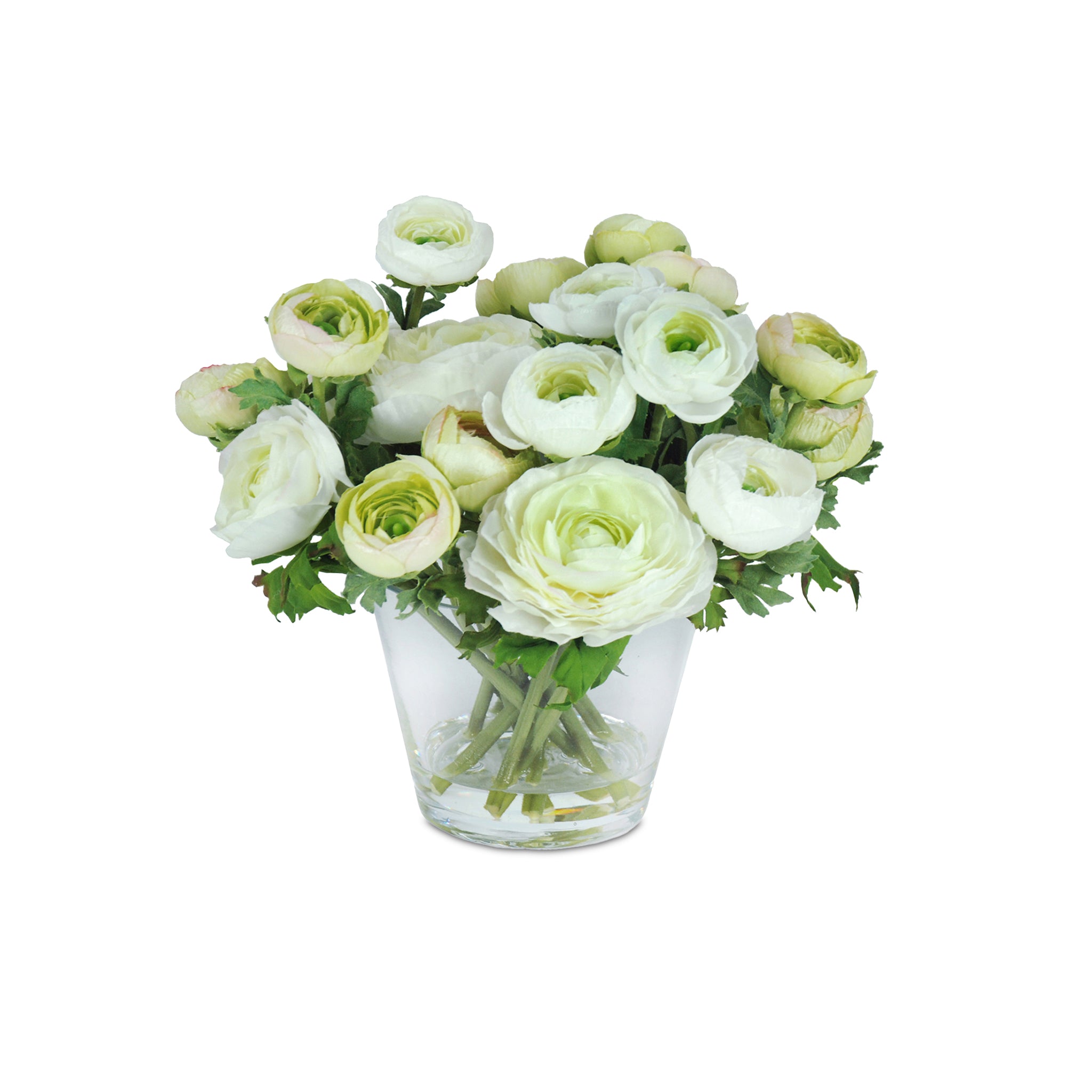 The Buttercup Parks Selection