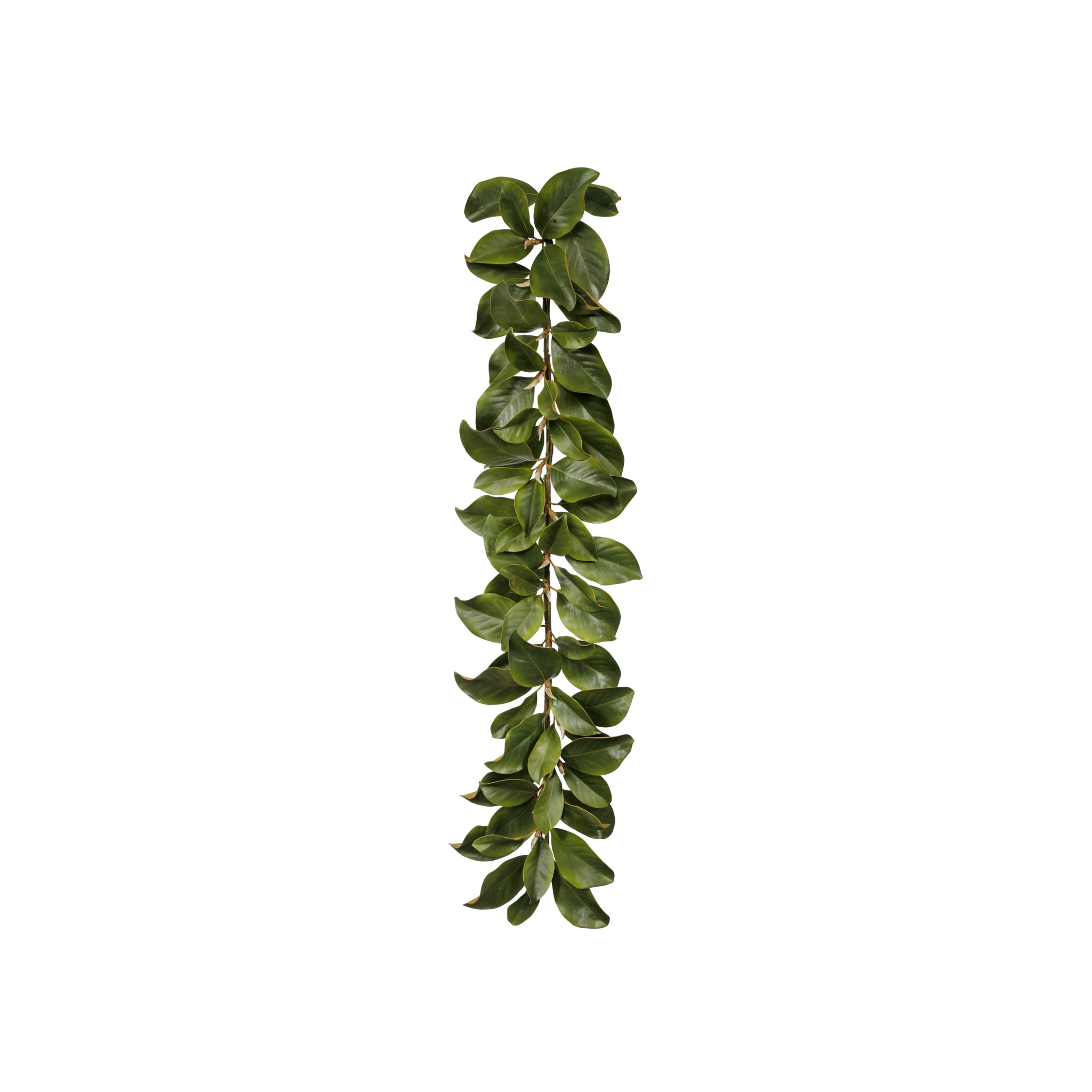 Crisp Evergreen Garland