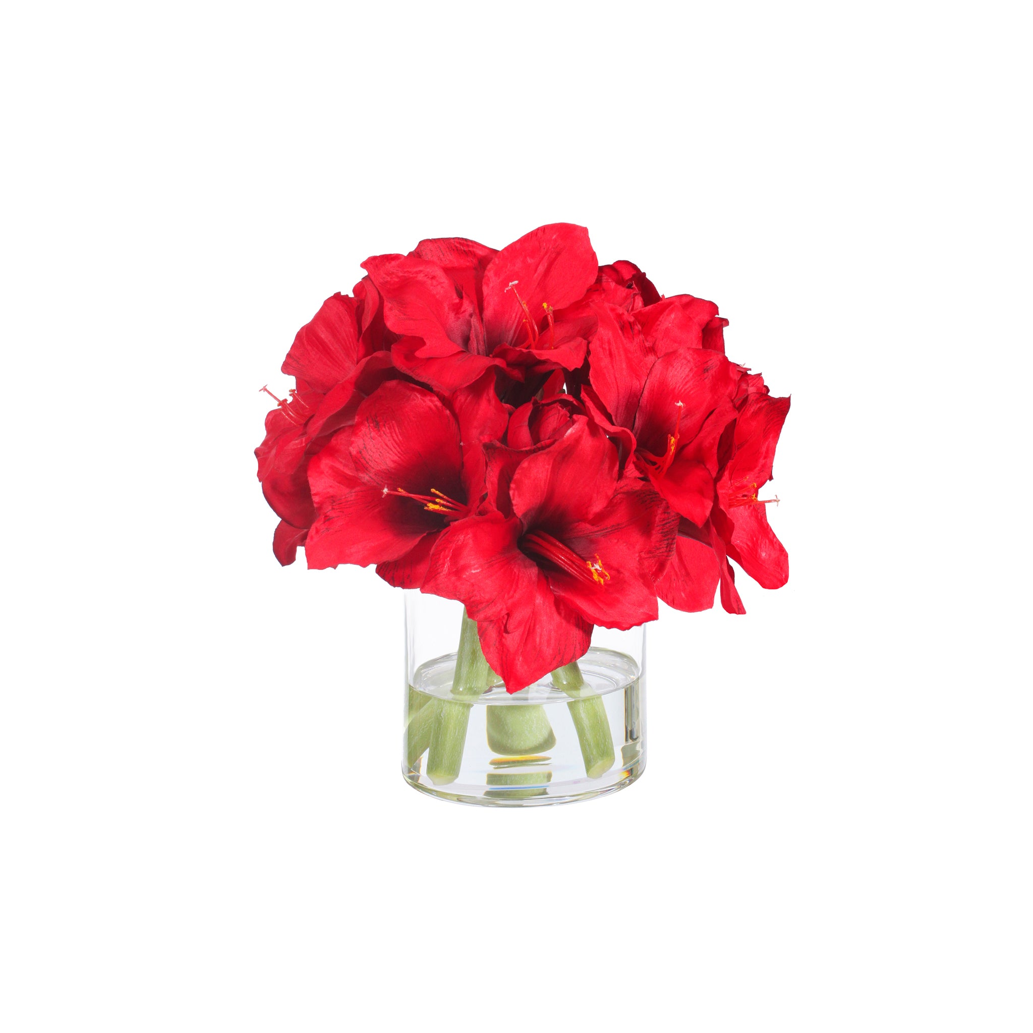 Scarlett Amaryllis Vase