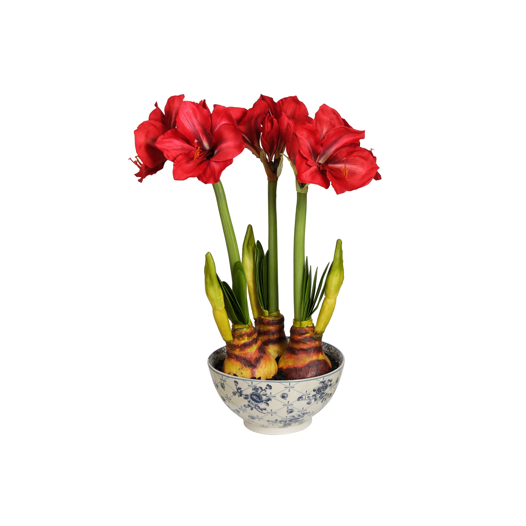 Abbey Potted Amaryllis