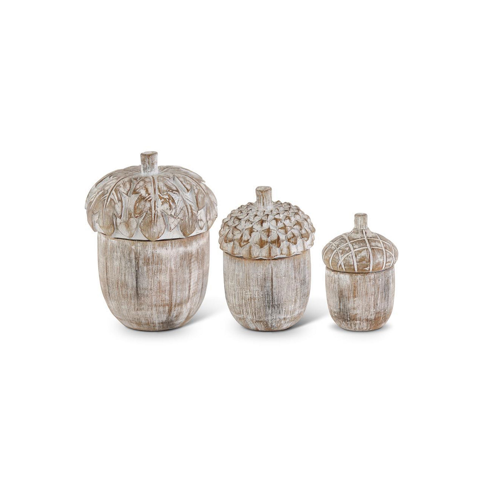 Archibald Acorn Container