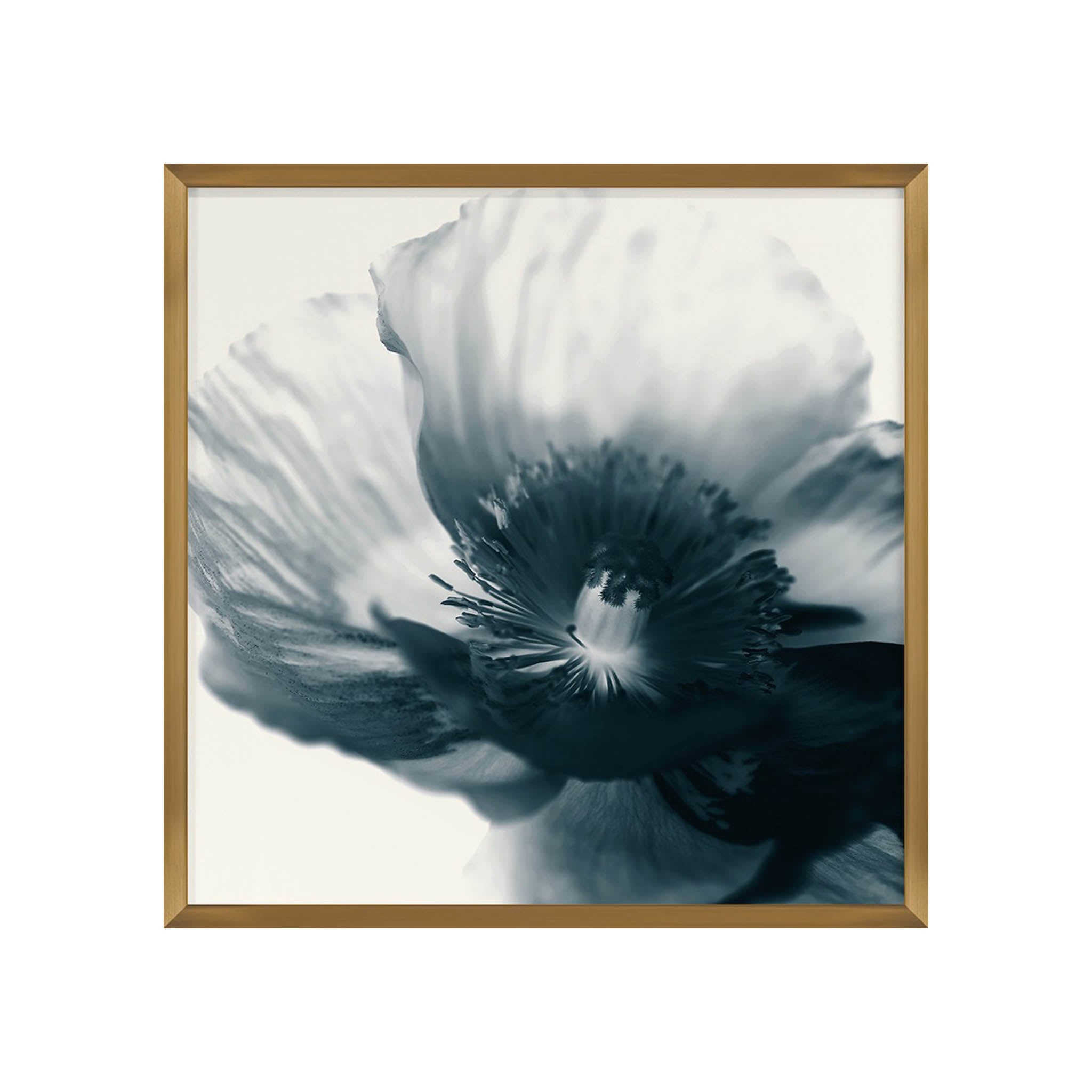 Papavero Framed Art Print