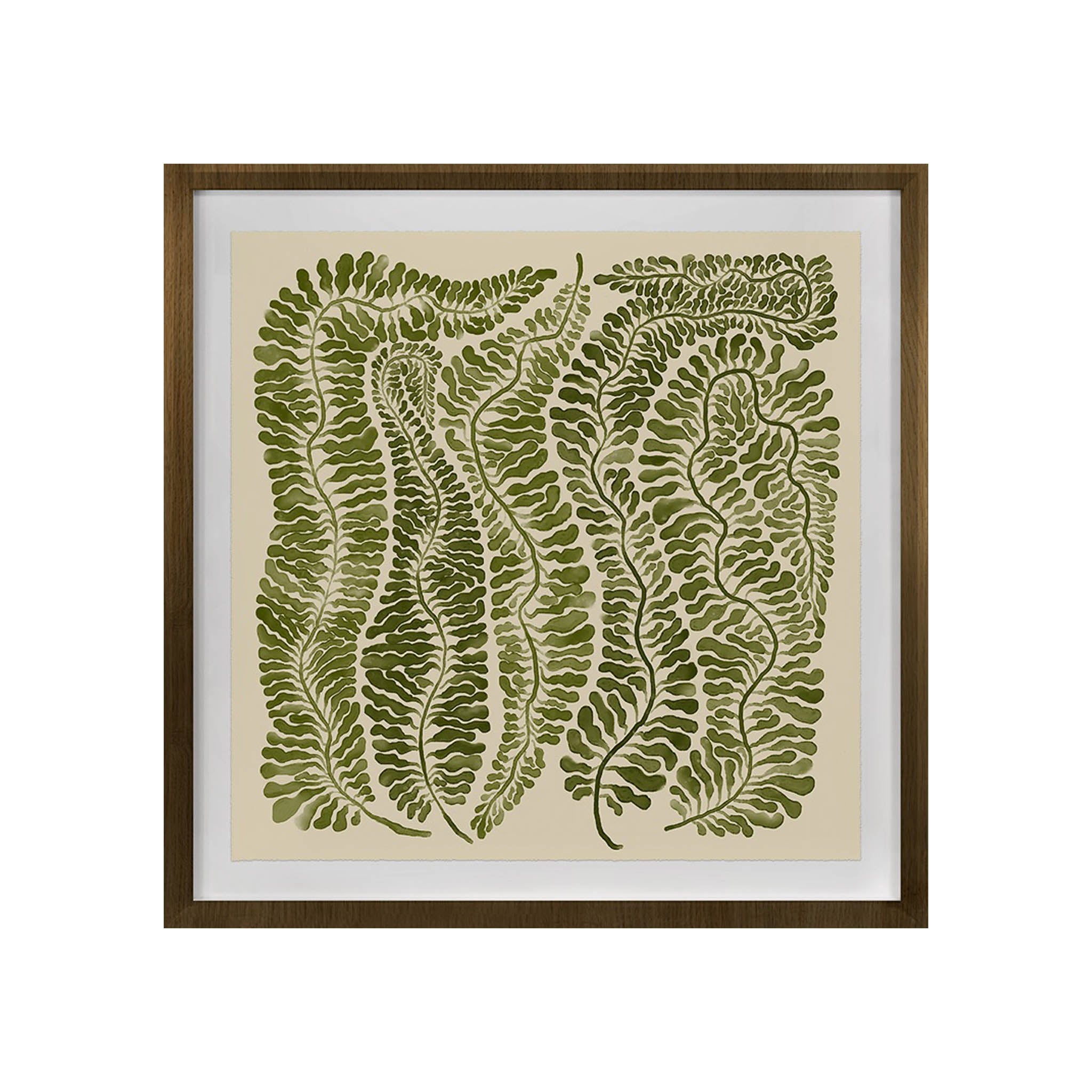 Uncommon Ferns III