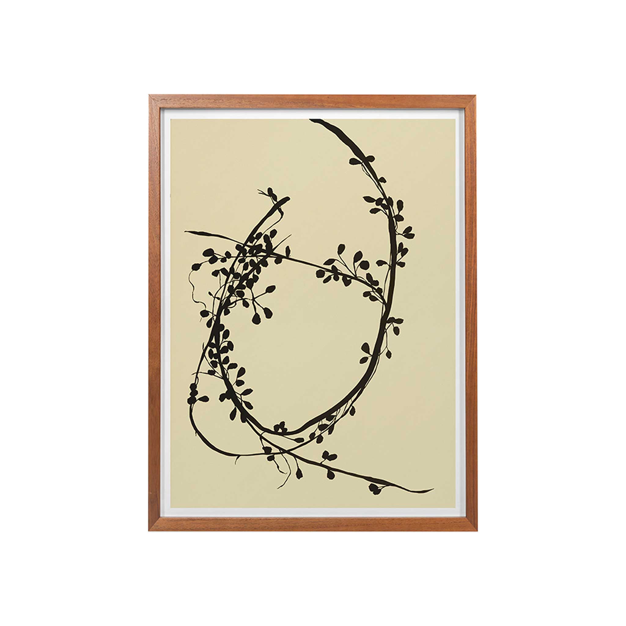 Vigne Incurvee Framed Art Print