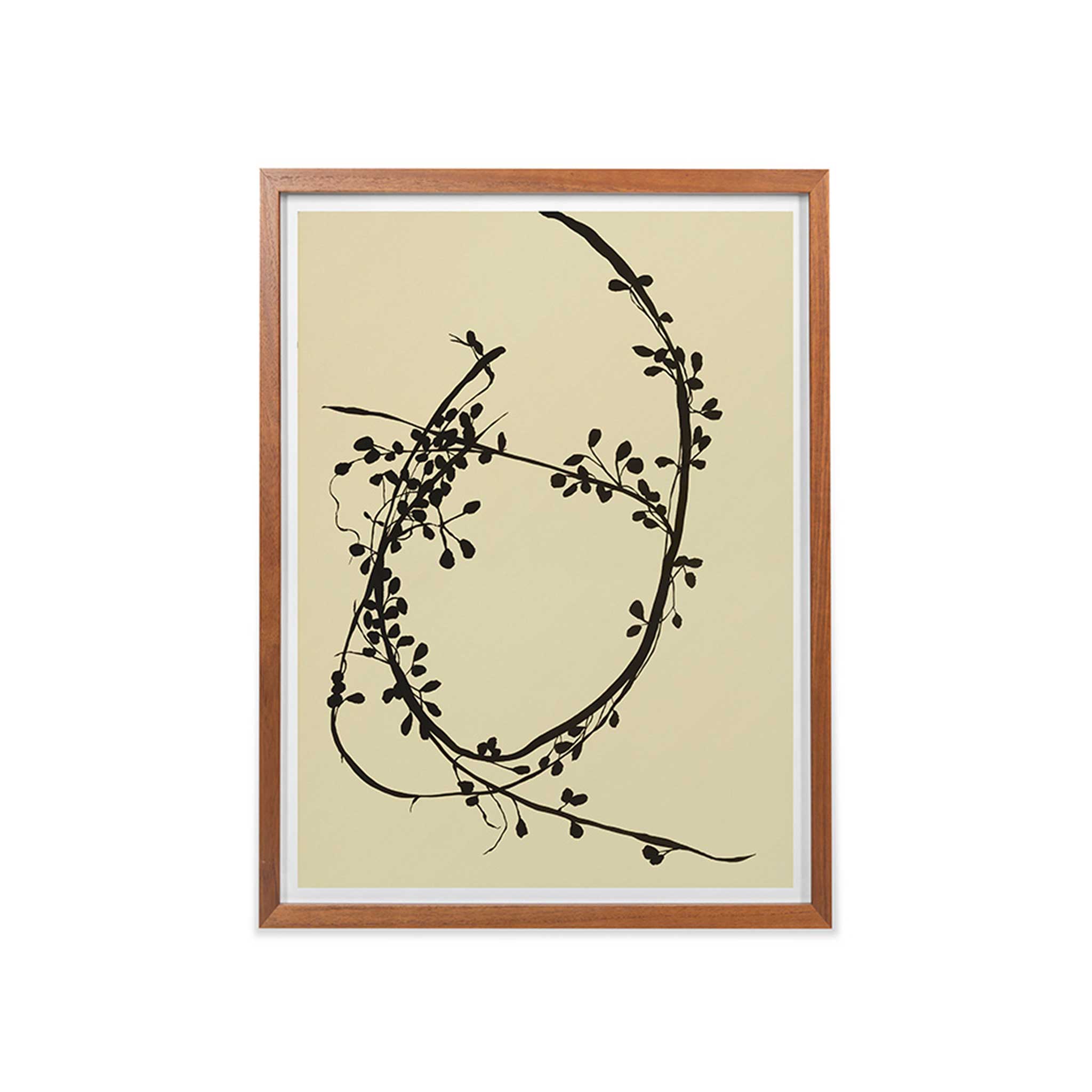 Vigne Incurvee Framed Art Print