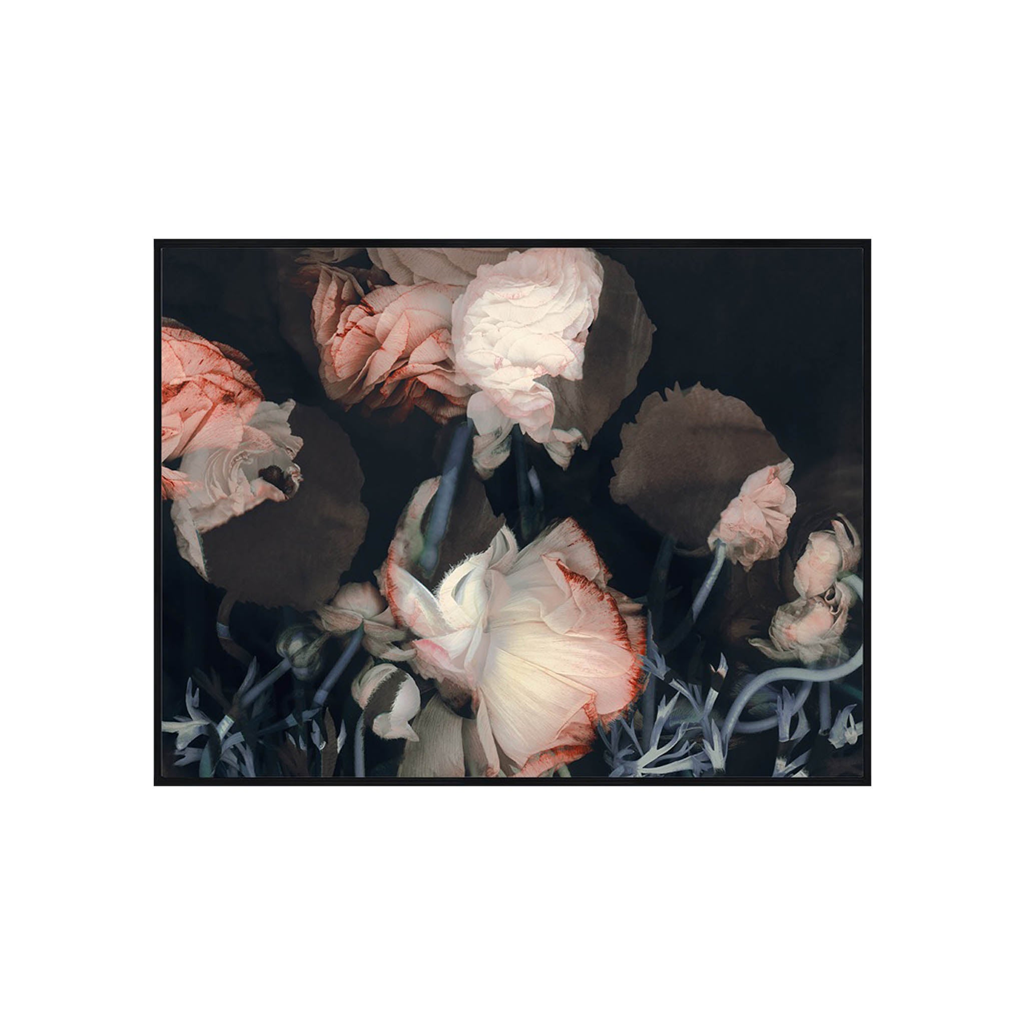 Enigmatic Florals II