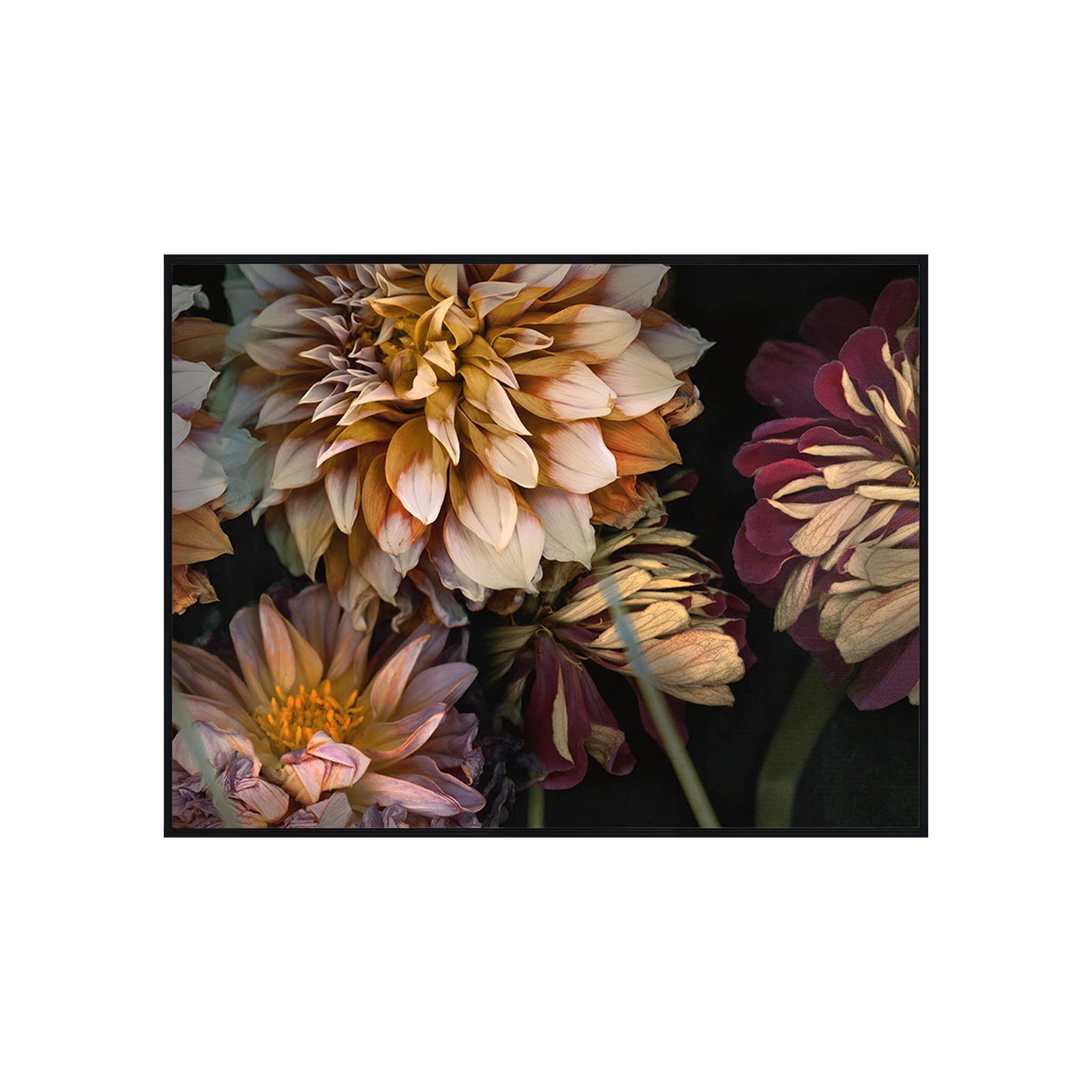 Enigmatic Florals III