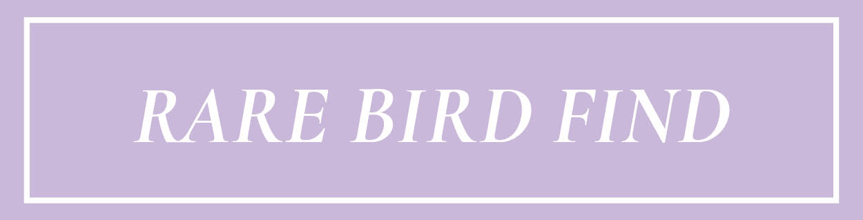 Rare Bird