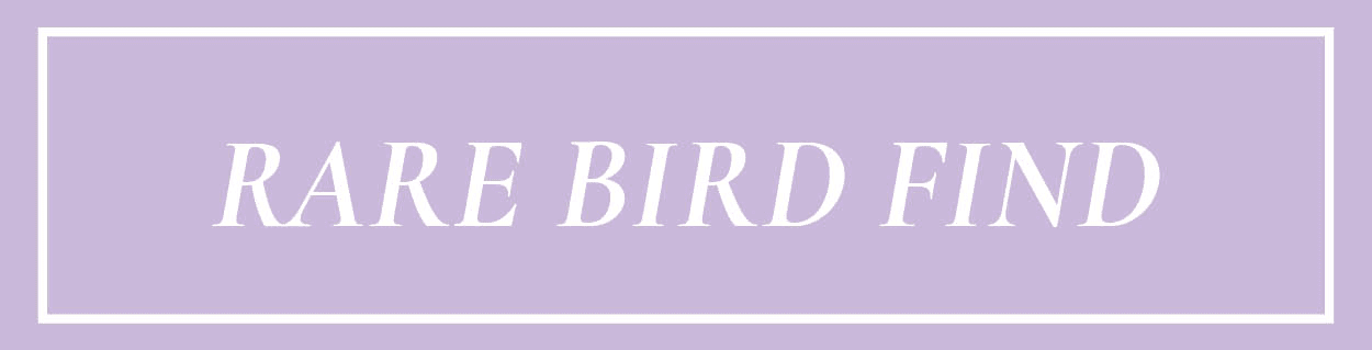Rare Bird